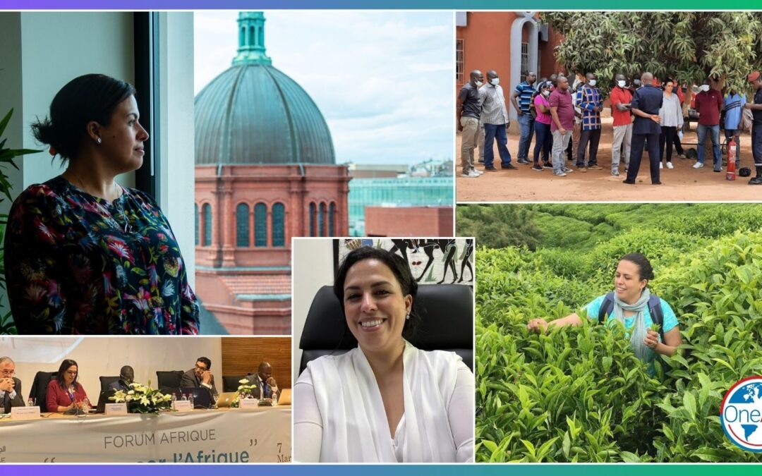 Guest Blog: Yasmina Sarhrouny