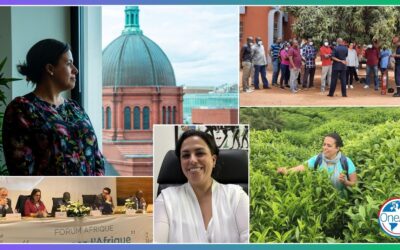 Guest Blog: Yasmina Sarhrouny